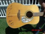 DRIVEN Autographed Edition Guitar